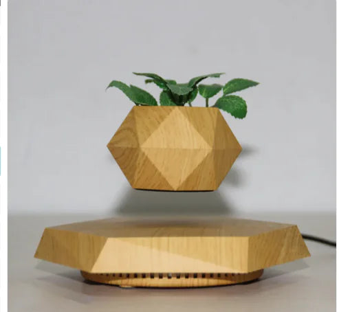 Levitating Plant Pot — Make Your Plants Float