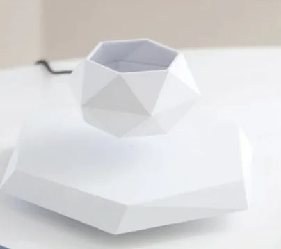 Levitating Plant Pot — Make Your Plants Float
