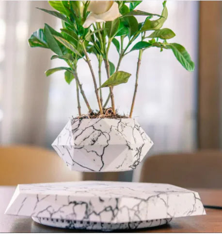 Levitating Plant Pot — Make Your Plants Float