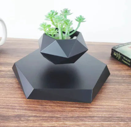 Levitating Plant Pot — Make Your Plants Float