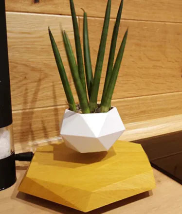 Levitating Plant Pot — Make Your Plants Float